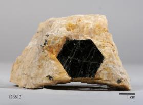 Biotite