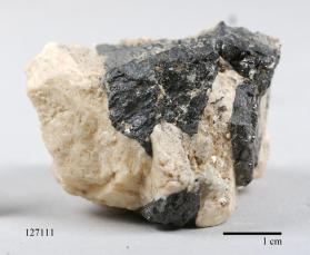 Columbite-(Fe) with Albite