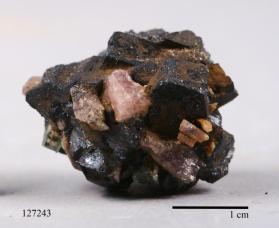 Unknown with Rubellite