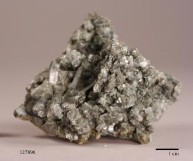 Actinolite