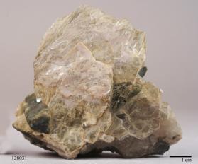 Muscovite