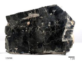 Biotite