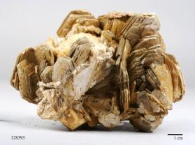 Muscovite