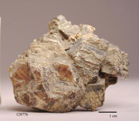 Phlogopite