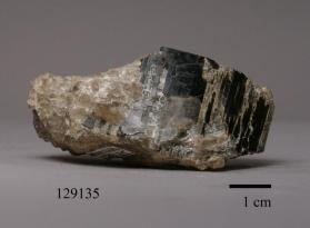 SCHORL