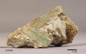 Muscovite