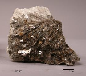 Muscovite