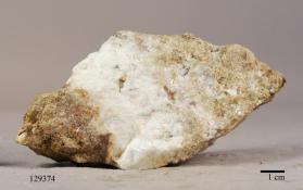 Whitlockite