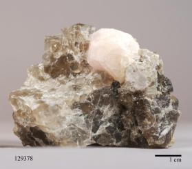 Morganite