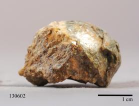 Muscovite