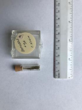 Amphibole, grunerite-hypersthene (amphibole group)