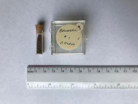 Grunerite (amphibole group)