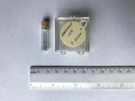 Amphibole (amphibole group)