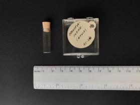 Orthopyroxene (orthopyroxene group)
