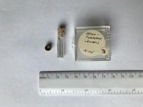Orthopyroxene (orthopyroxene group)