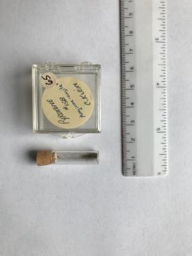 Pyroxene, aegrine-augite (clinopyroxene group)