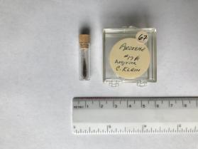 Pyroxene, aegirine (clinopyroxene group)