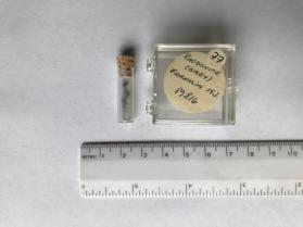 Rhodonite, grey (pryoxeneoid group)