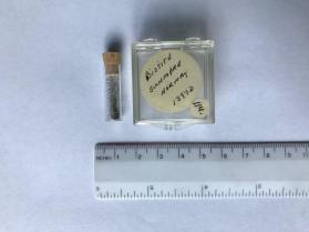 Biotite (biotite group)