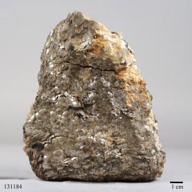 Muscovite