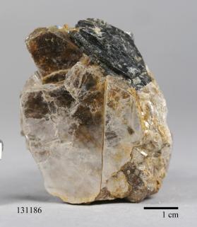 Columbite-(Fe) with Muscovite and Quartz