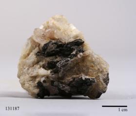 Columbite-(Fe) with Albite and Quartz