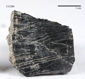 Wodginite