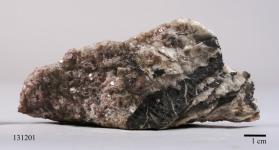 Manganocolumbite with Albite and Lepidolite