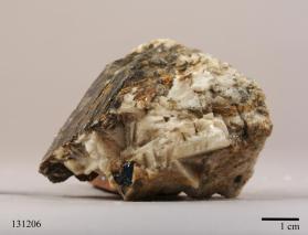 Columbite-(Fe) with FLUORAPATITE and Muscovite