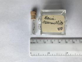 Osumilite (garnet group)
