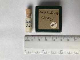 Sr-Feldspar, SrAl2Si2O8, synthetic (plagioclase group)