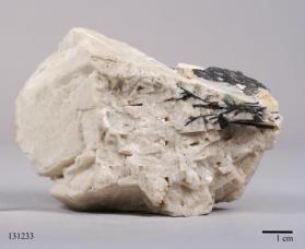 Columbite-(Fe) with Albite