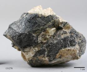 Columbite-(Fe) with Albite and Muscovite