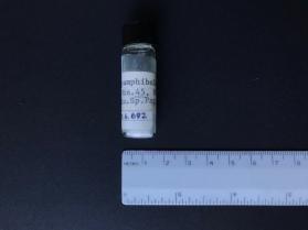 Protoamphibole