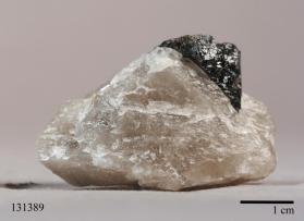 CASSITERITE