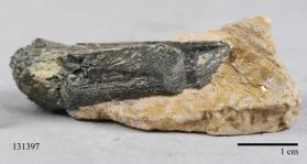 Columbite-(Fe)