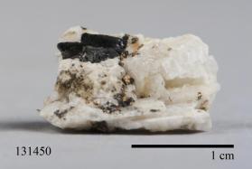 Manganocolumbite with Albite