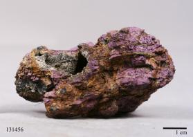 Purpurite