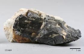 Manganocolumbite with Albite and MICROCLINE and Quartz