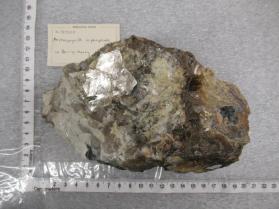 arsenopyrite in phosphate pod