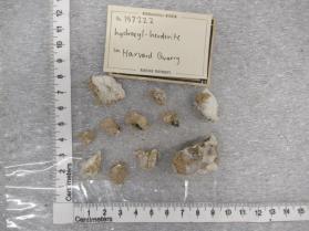 hydroxyl-herderite