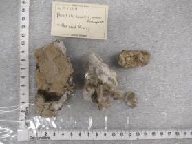 pocket xls, cookeite, minor fluorapatite
