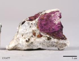 Purpurite