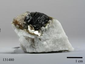 CASSITERITE