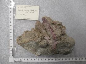 cookeite coating elbaite, w/ quartz + albite