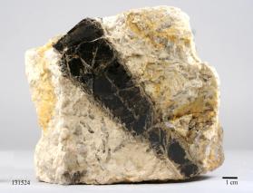 Biotite