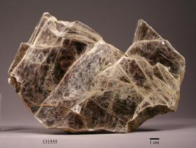 Muscovite