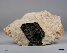 Biotite