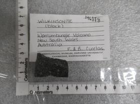 Wilkinsonite