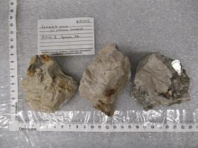 columbite group w/ uranium secondaries